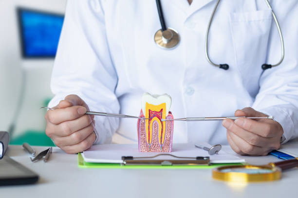 Best Emergency Wisdom Teeth Removal in Ravenna, NE